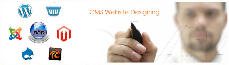 CMS Website Designing Cost in Greater Noida