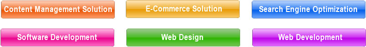 Website Designing Company Cost in Greater Noida